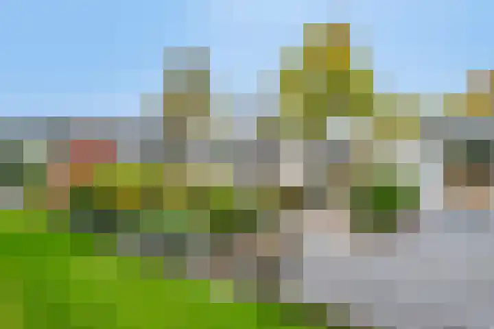 Stevinplantsoen 11 Helmond thumbnail 42