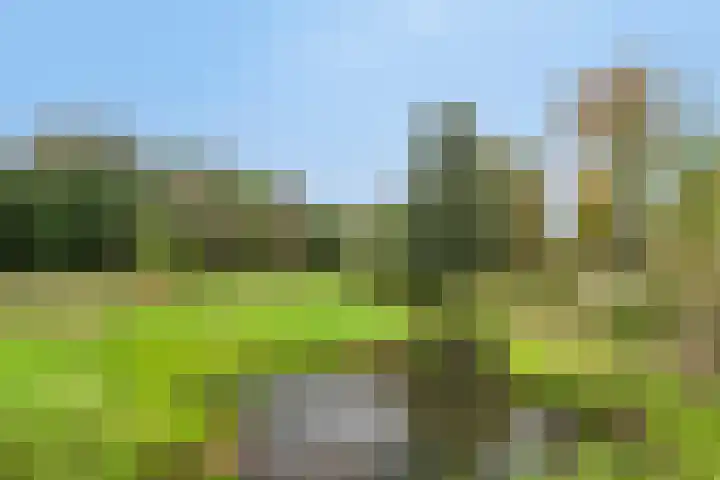 Stevinplantsoen 11 Helmond thumbnail 44