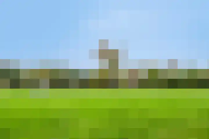 Stevinplantsoen 11 Helmond thumbnail 46
