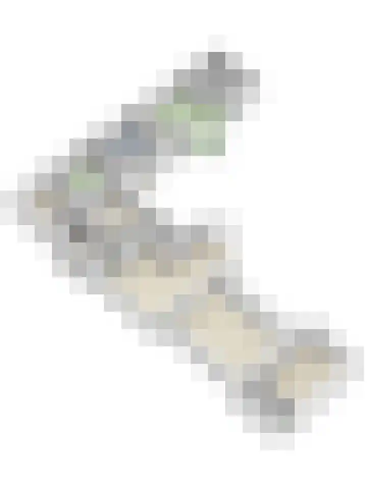 Stevinplantsoen 11 Helmond thumbnail 57