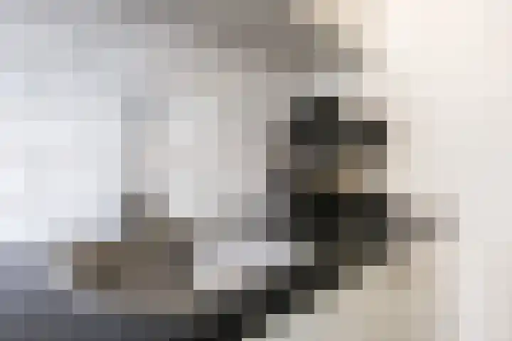 Stevinstraat 1 Eindhoven thumbnail 14