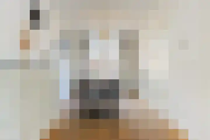 Stevinstraat 1 Eindhoven thumbnail 20
