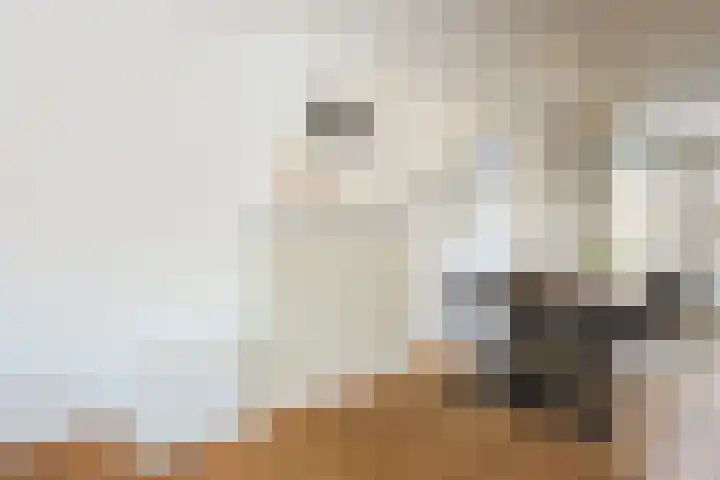 Stevinstraat 1 Eindhoven thumbnail 21