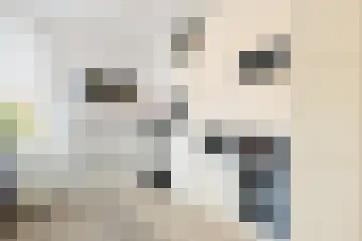 Stevinstraat 1 Eindhoven thumbnail 35