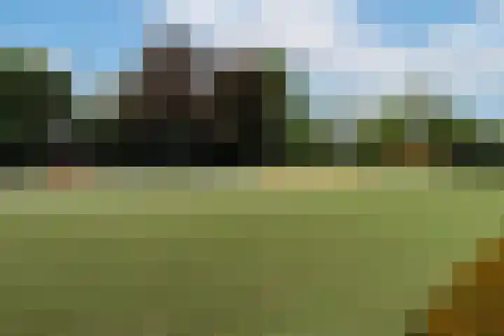 Stevinstraat 1 Eindhoven thumbnail 55