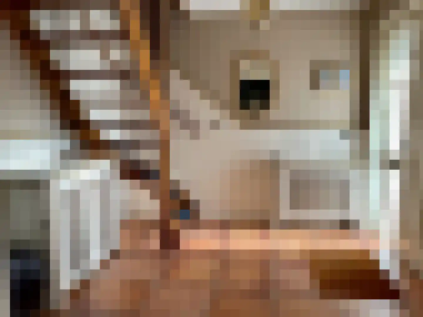 Stevinstraat 1 IJzendijke thumbnail 10