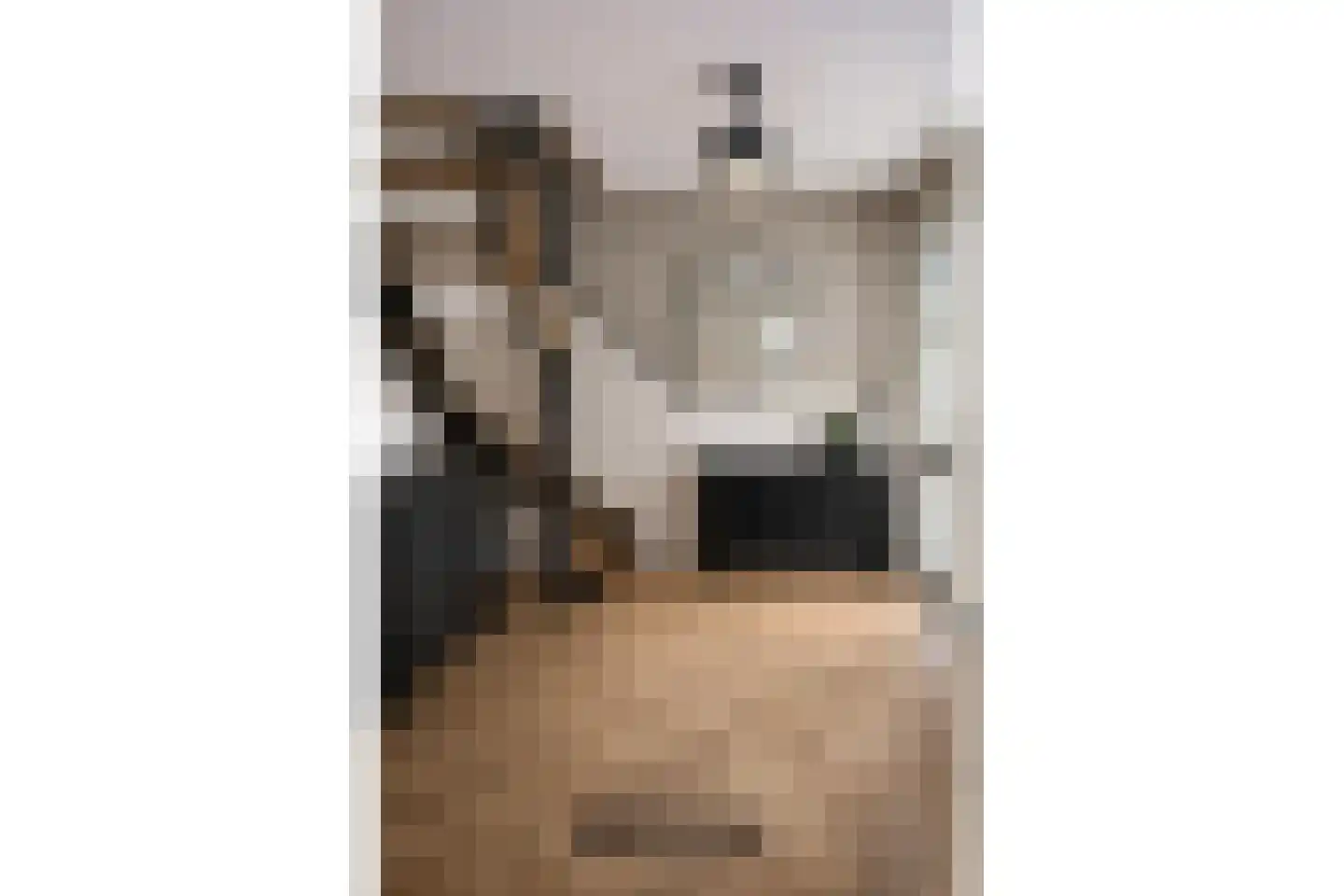 Stevinstraat 1 IJzendijke thumbnail 11