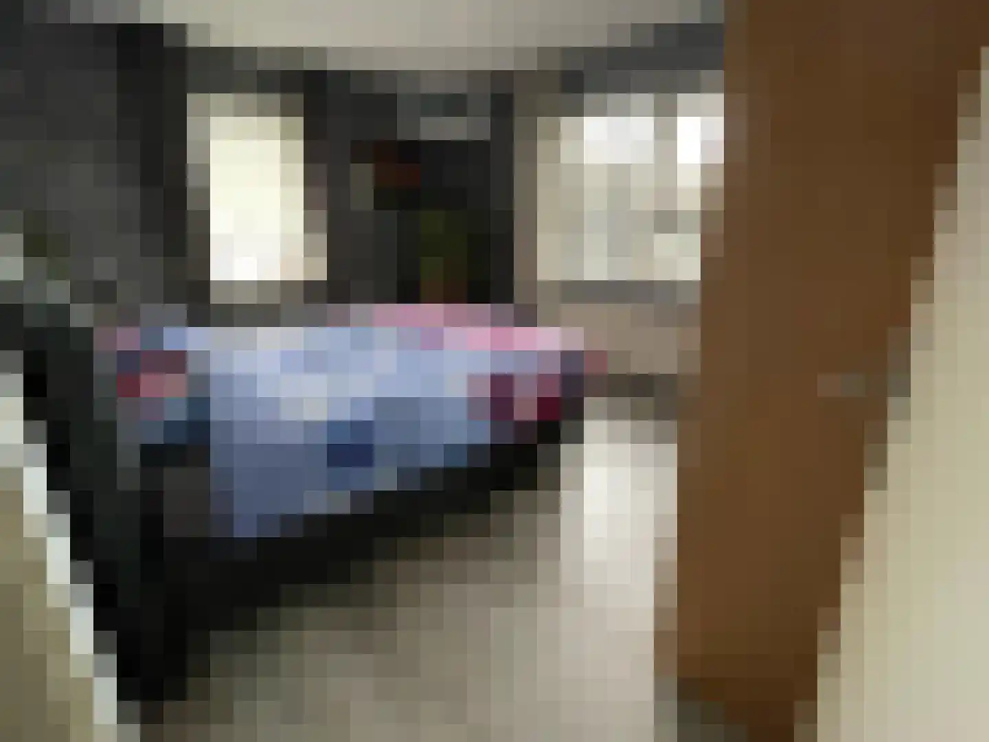 Stevinstraat 1 IJzendijke thumbnail 14