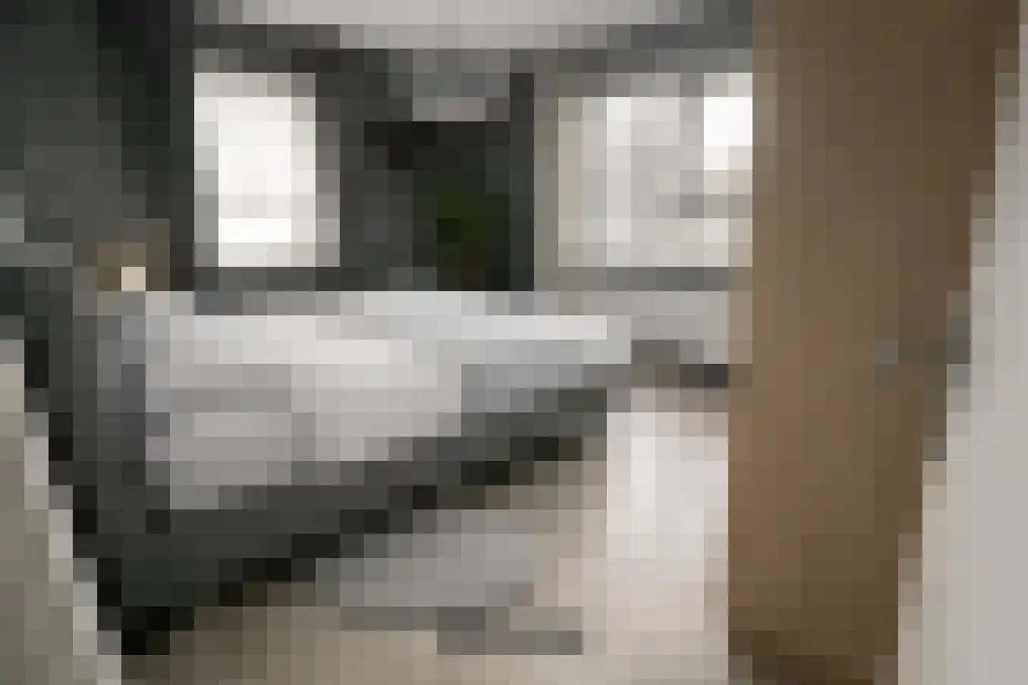 Stevinstraat 1 IJzendijke thumbnail 15