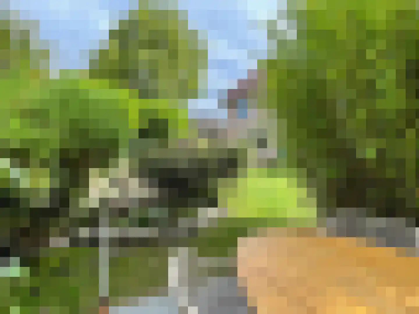 Stevinstraat 1 IJzendijke thumbnail 29