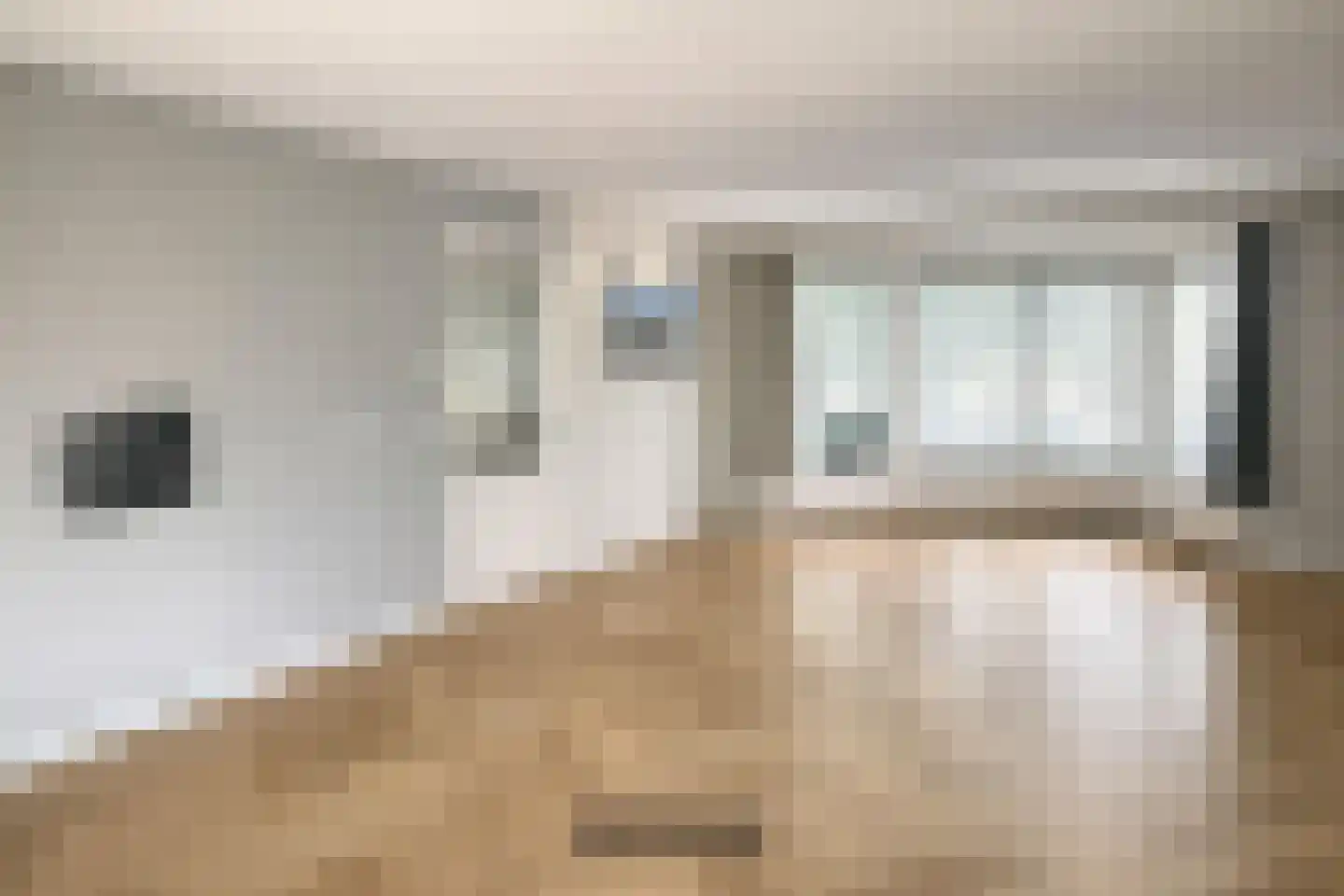 Stevinstraat 1 IJzendijke foto 3