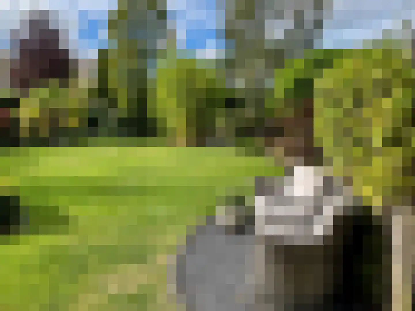 Stevinstraat 1 IJzendijke thumbnail 31