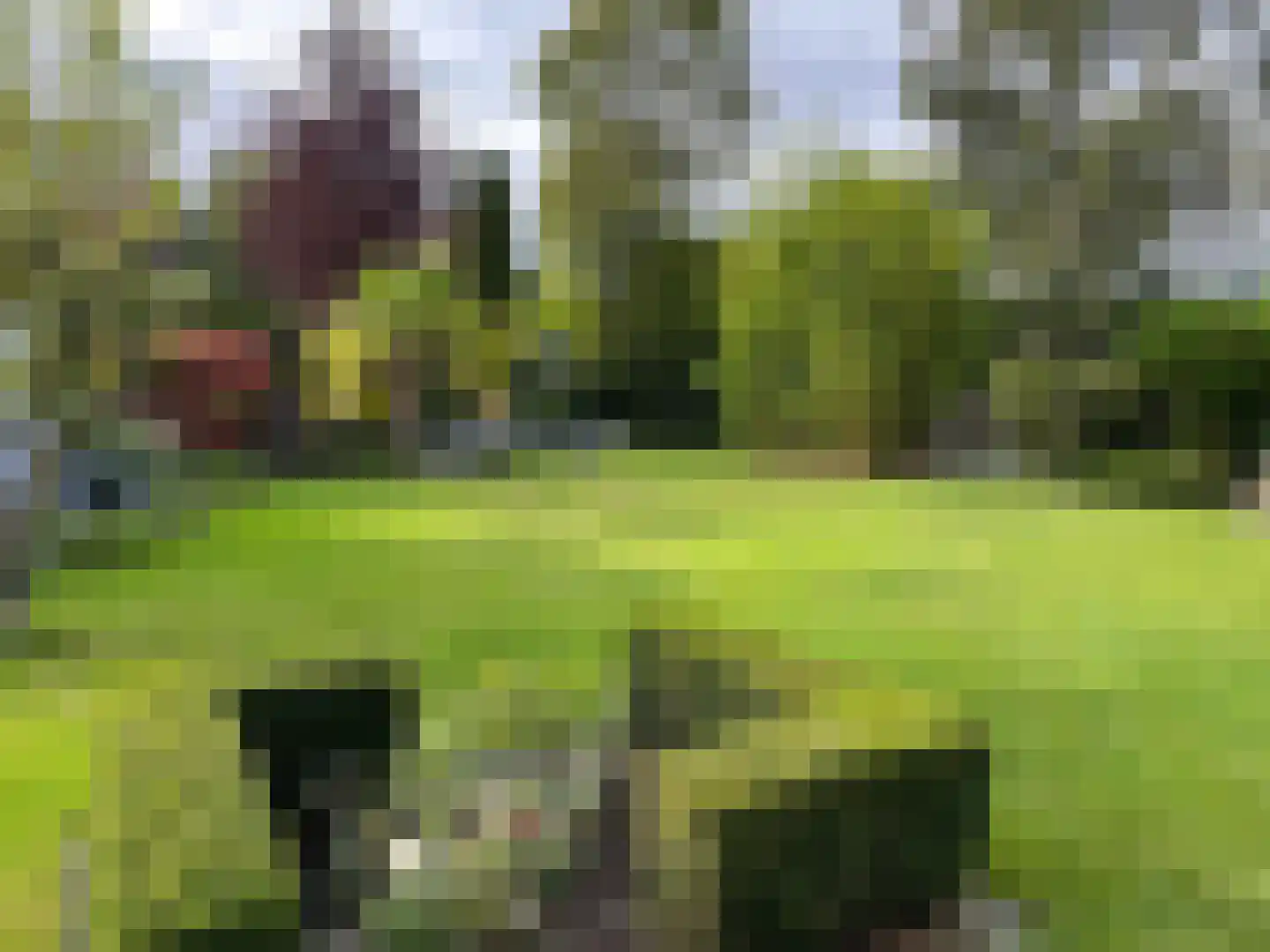Stevinstraat 1 IJzendijke thumbnail 4