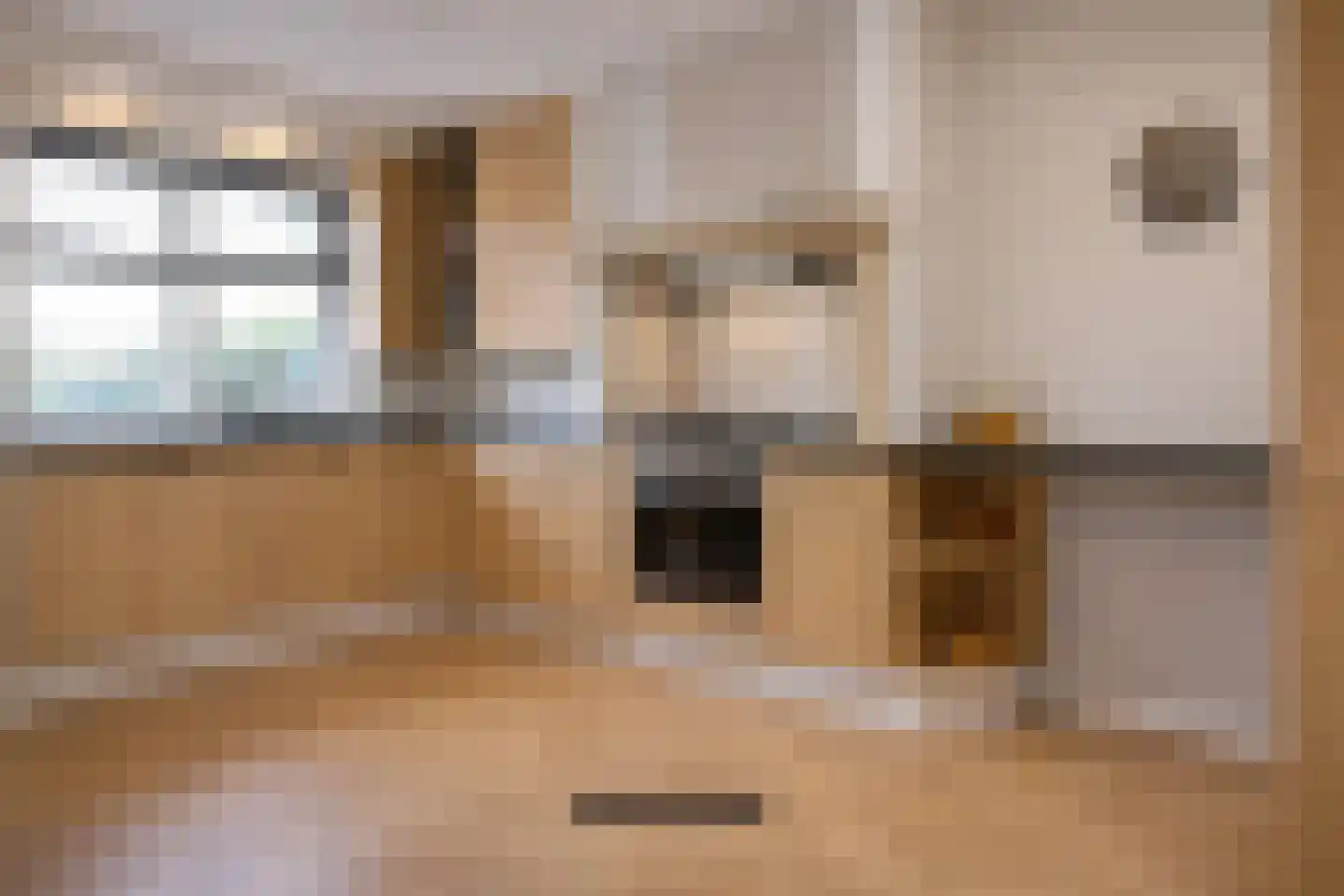 Stevinstraat 1 IJzendijke thumbnail 6