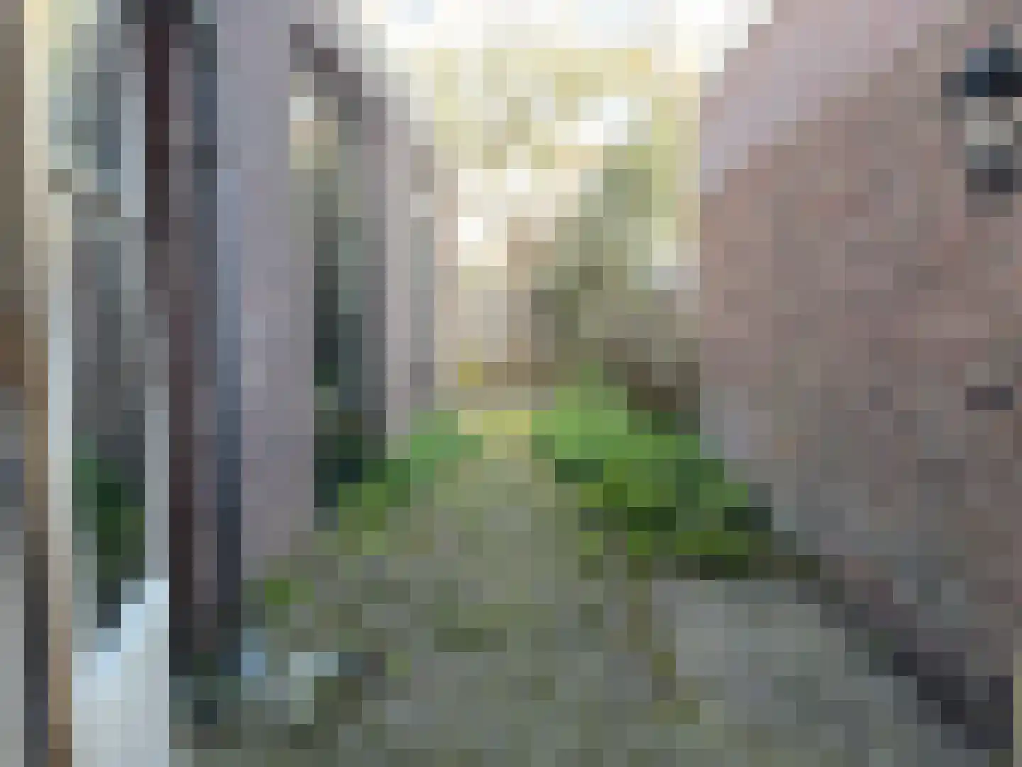 Stevinstraat 102 Den Haag thumbnail 16