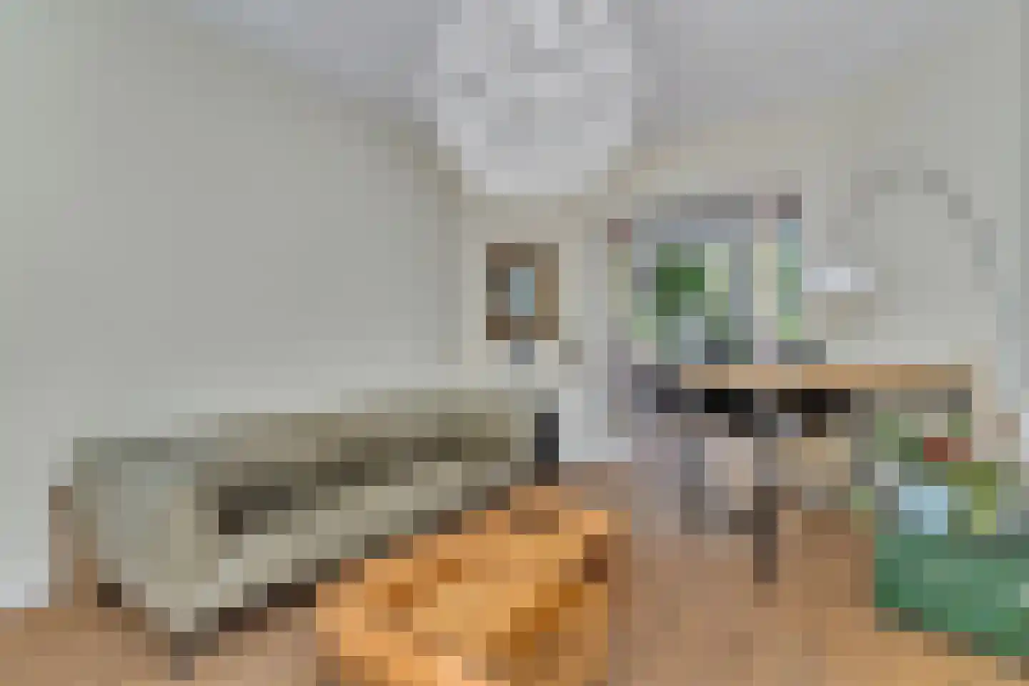 Stevinstraat 114 Den Haag thumbnail 15