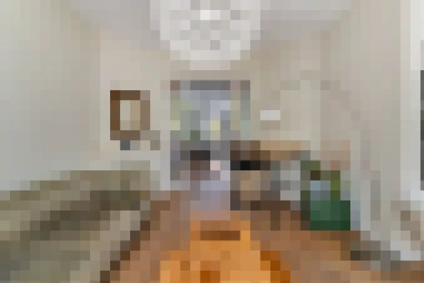 Stevinstraat 114 Den Haag thumbnail 16