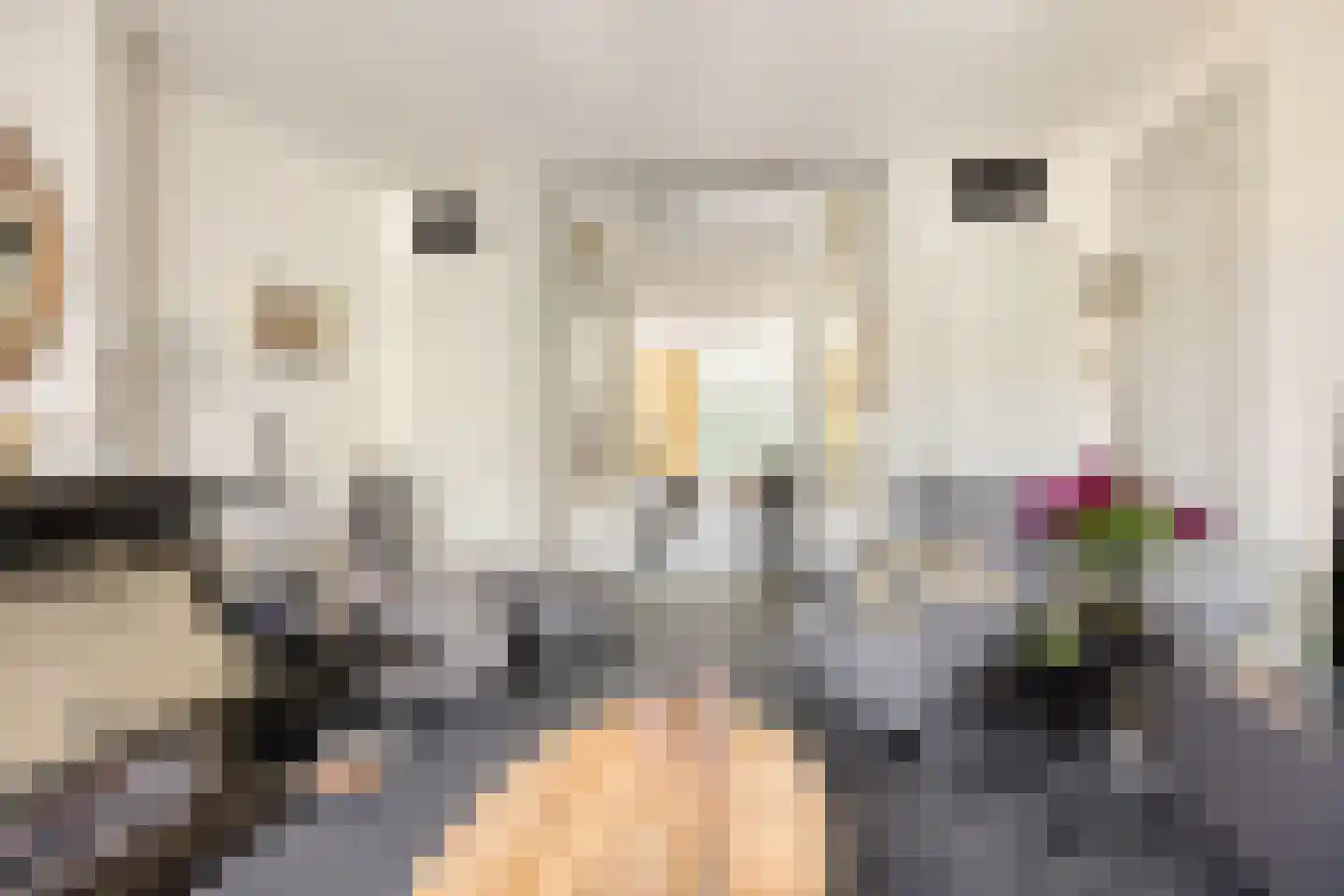 Stevinstraat 123 Den Haag thumbnail 14