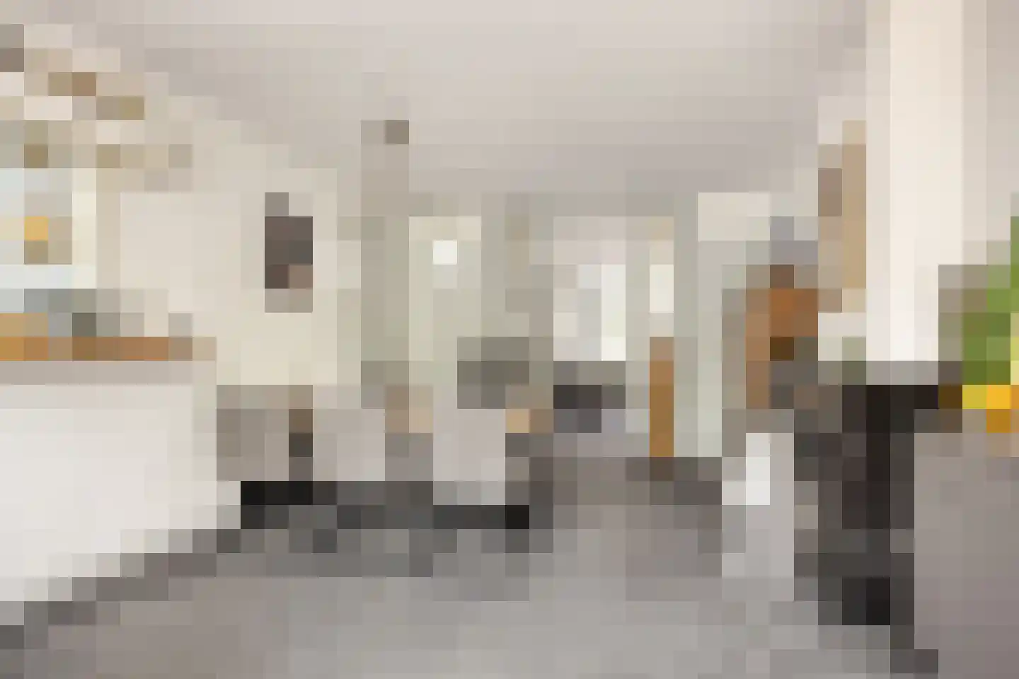 Stevinstraat 123 Den Haag thumbnail 16