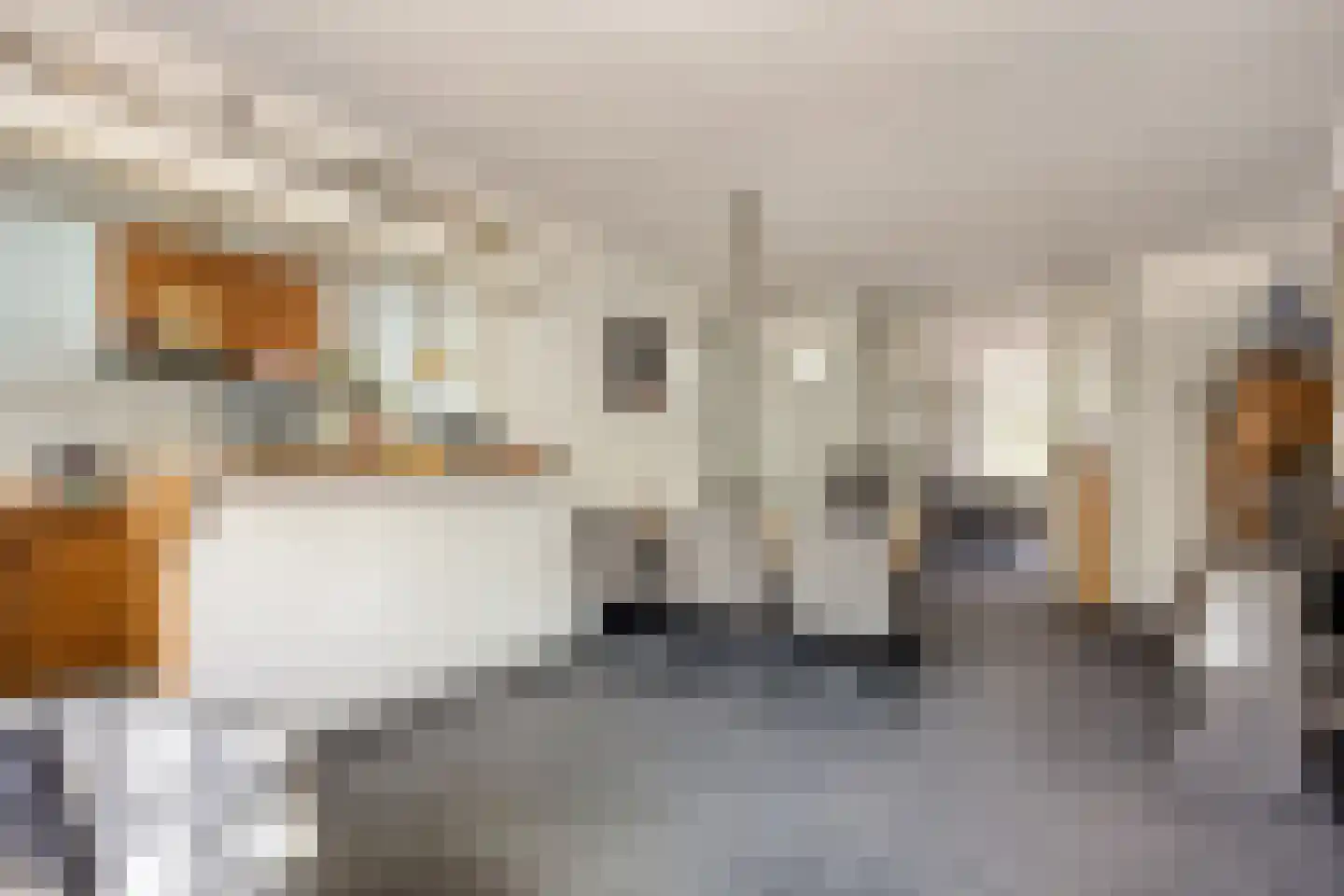 Stevinstraat 123 Den Haag thumbnail 18