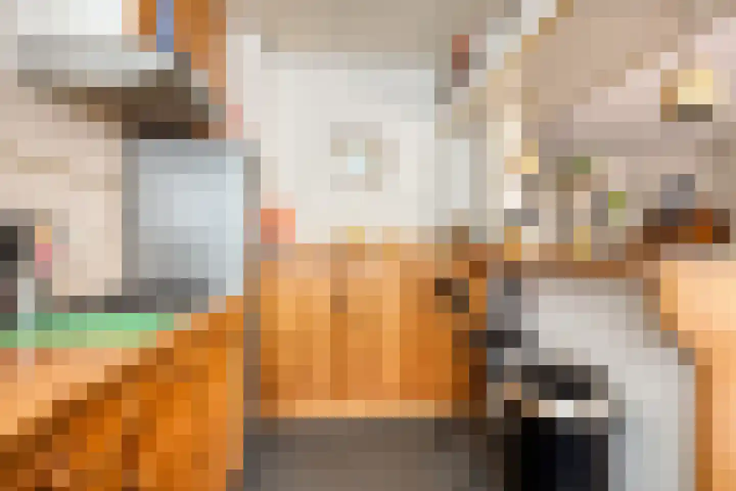 Stevinstraat 123 Den Haag thumbnail 19
