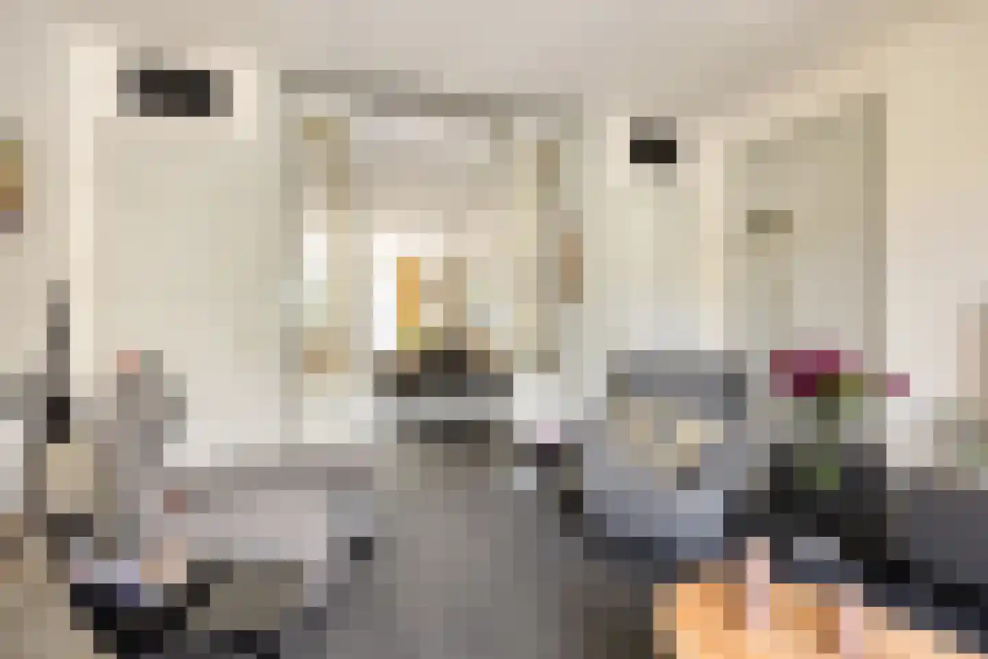 Stevinstraat 123 Den Haag foto 2