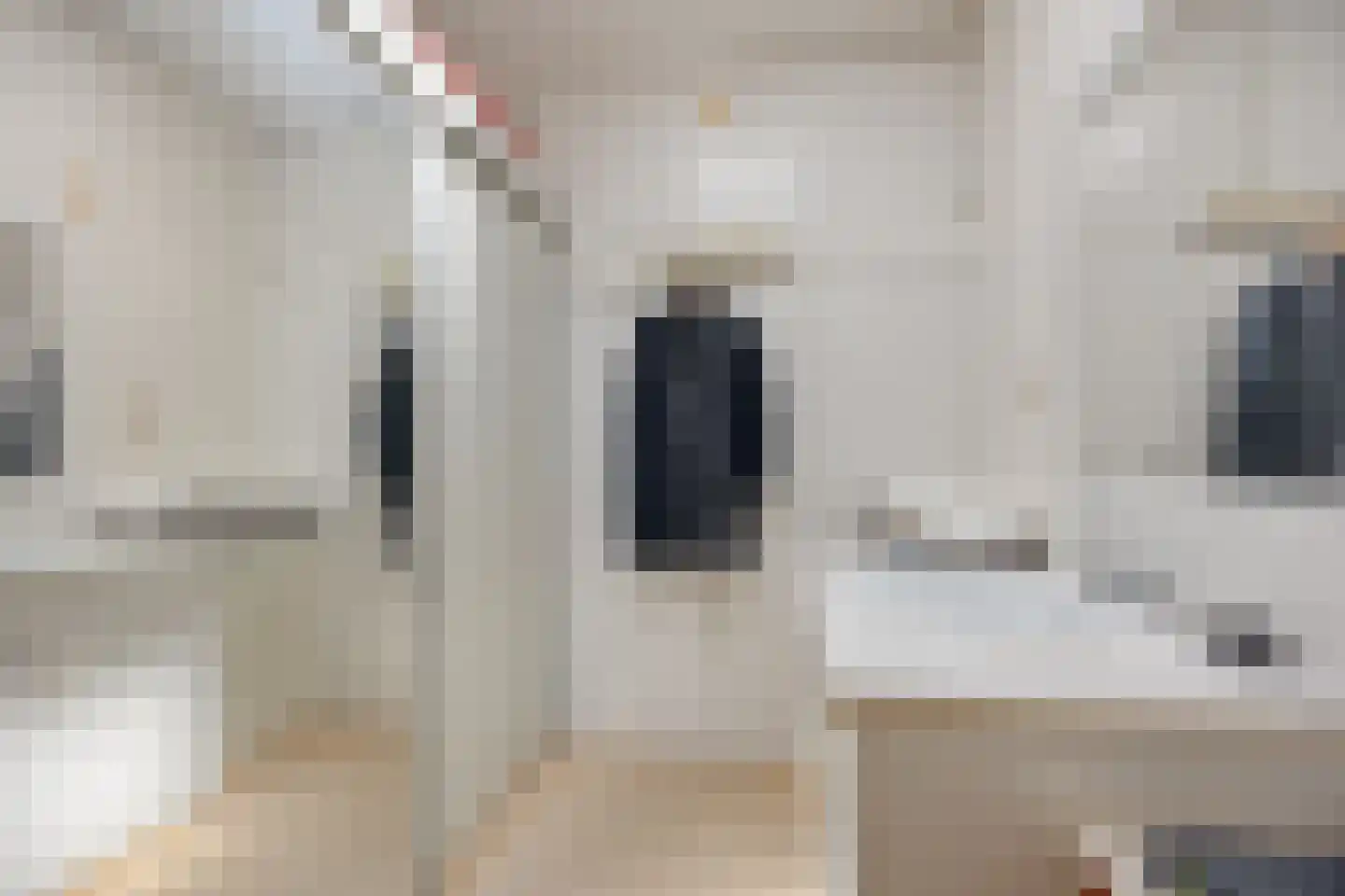 Stevinstraat 123 Den Haag thumbnail 25
