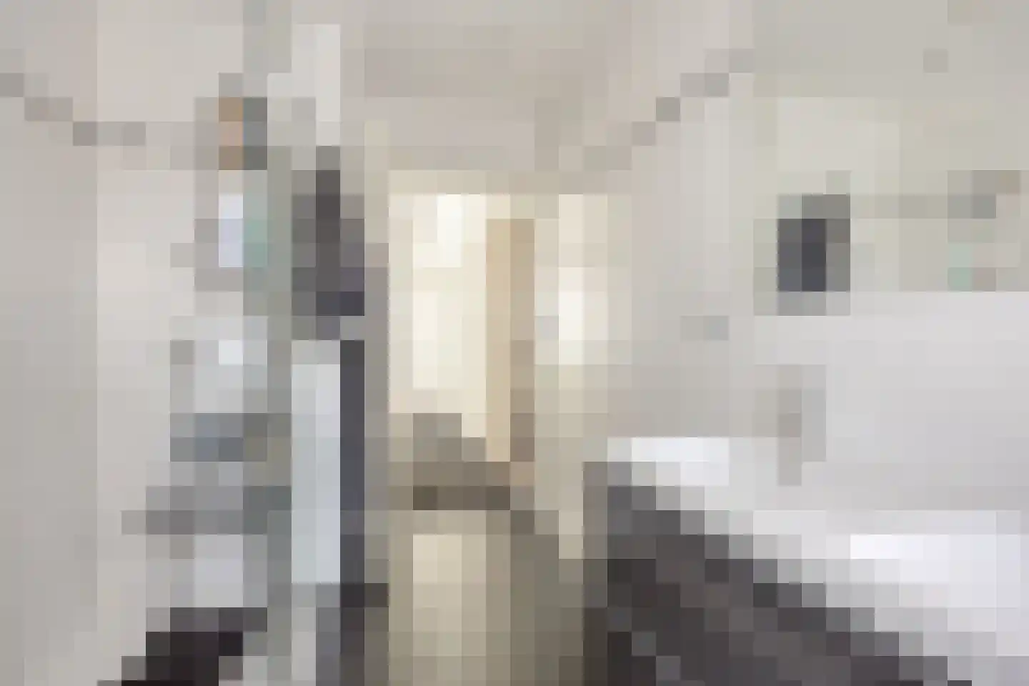 Stevinstraat 123 Den Haag thumbnail 28