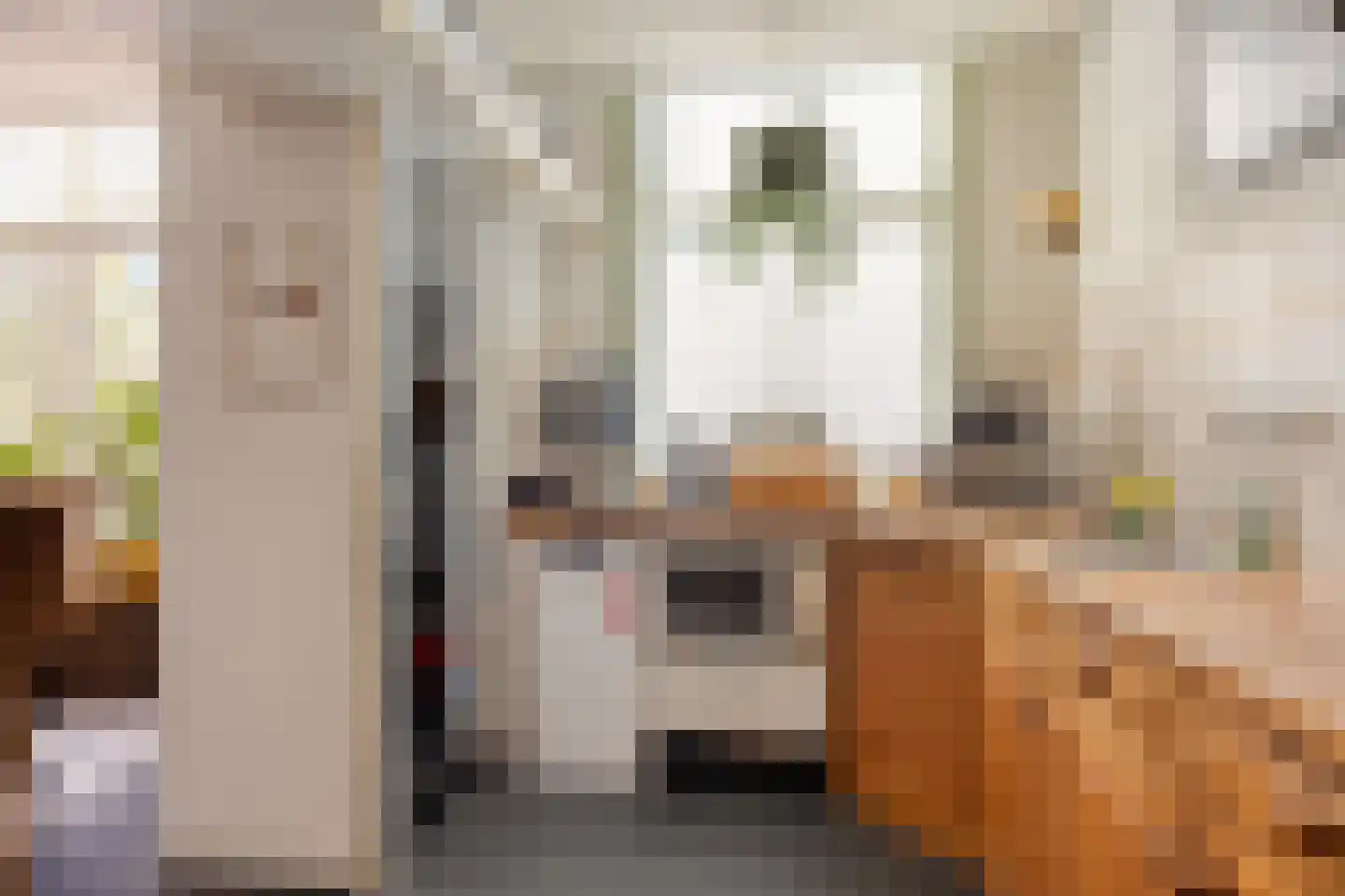 Stevinstraat 123 Den Haag thumbnail 4