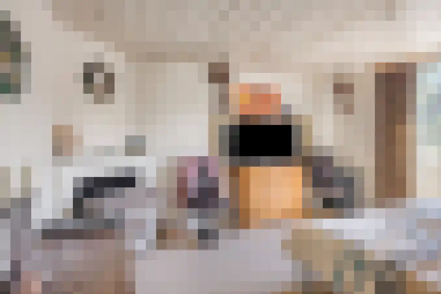 Stevinstraat 123 Den Haag thumbnail 5
