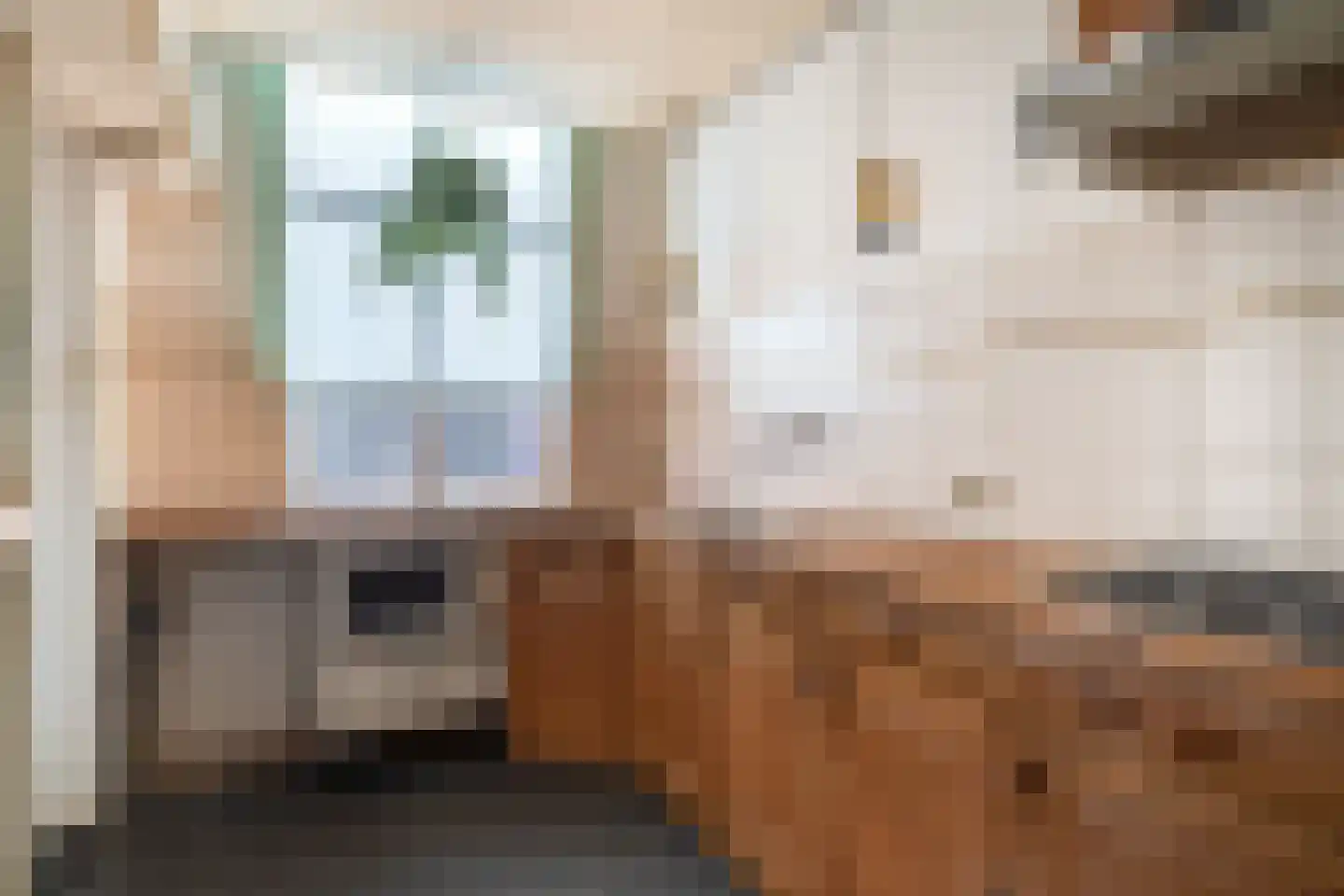 Stevinstraat 123 Den Haag thumbnail 8