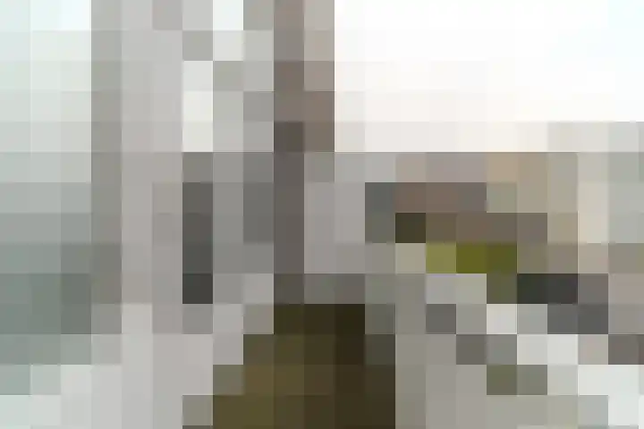 Stevinstraat 130 A Den Haag thumbnail 21