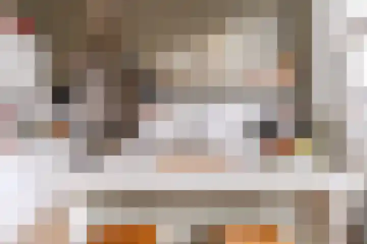 Stevinstraat 137 Den Haag thumbnail 19