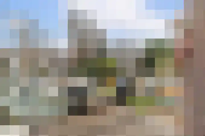 Stevinstraat 137 Den Haag thumbnail 23