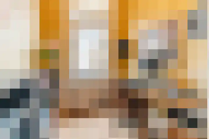 Stevinstraat 137 Den Haag thumbnail 31