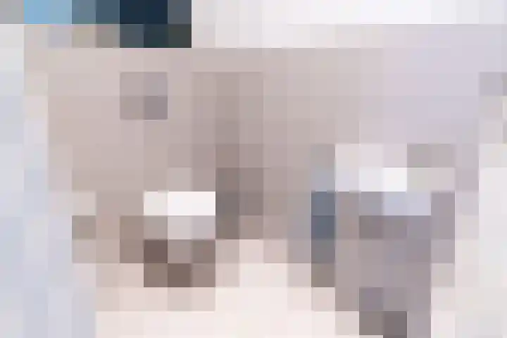 Stevinstraat 137 Den Haag thumbnail 32