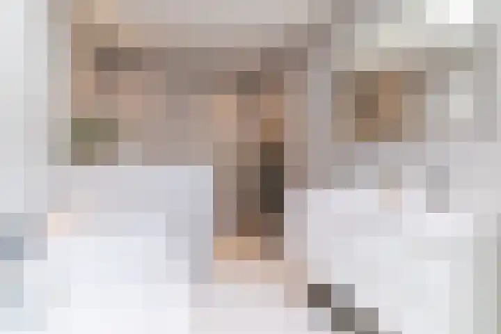 Stevinstraat 137 Den Haag thumbnail 42