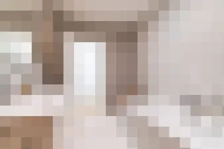 Stevinstraat 137 Den Haag thumbnail 46