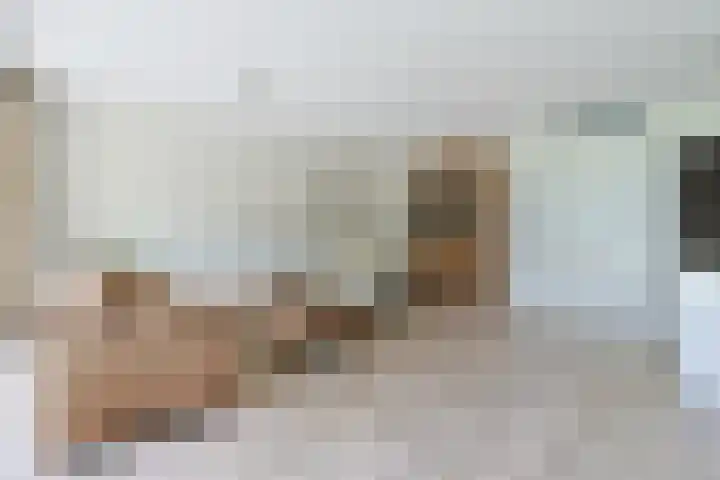 Stevinstraat 15 Alphen aan den Rijn thumbnail 12