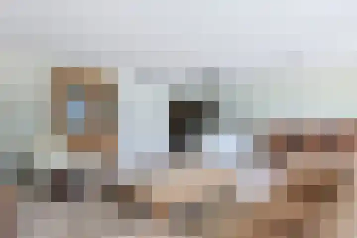 Stevinstraat 15 Alphen aan den Rijn thumbnail 13