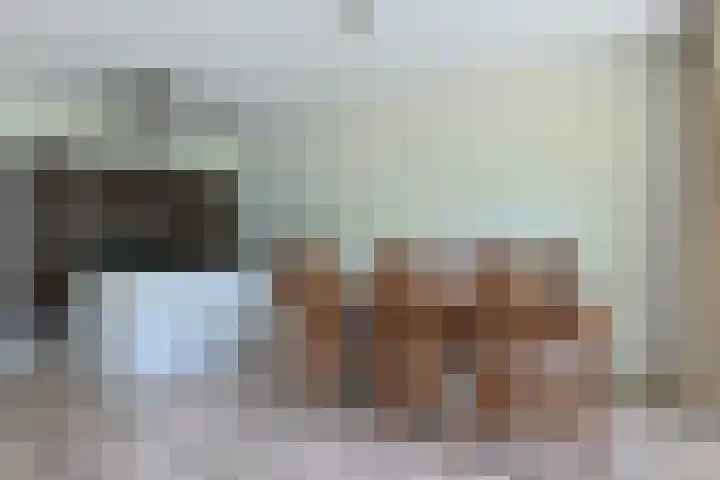 Stevinstraat 15 Alphen aan den Rijn thumbnail 15