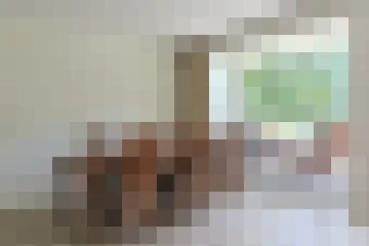 Stevinstraat 15 Alphen aan den Rijn thumbnail 17