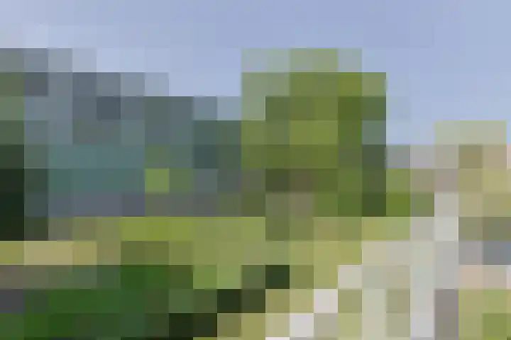 Stevinstraat 15 Alphen aan den Rijn thumbnail 35