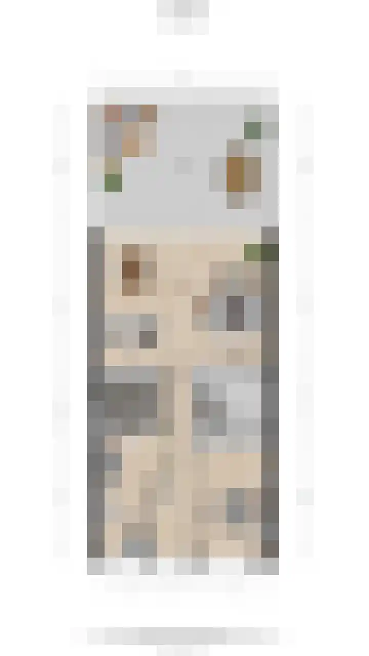 Stevinstraat 15 Alphen aan den Rijn thumbnail 37