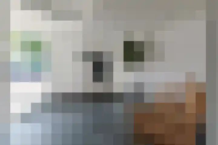 Stevinstraat 15 Alphen aan den Rijn thumbnail 6