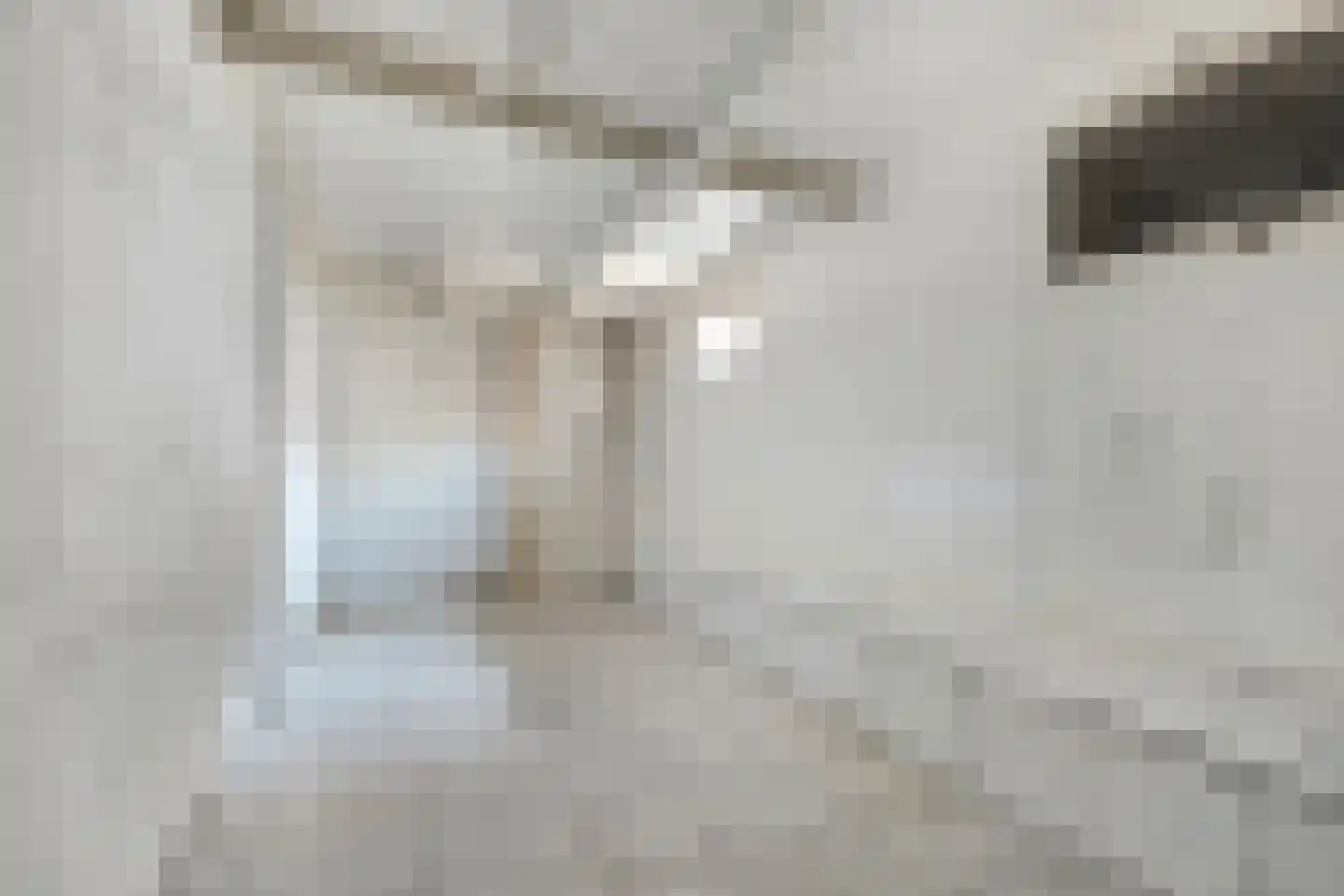 Stevinstraat 180 Den Haag thumbnail 16