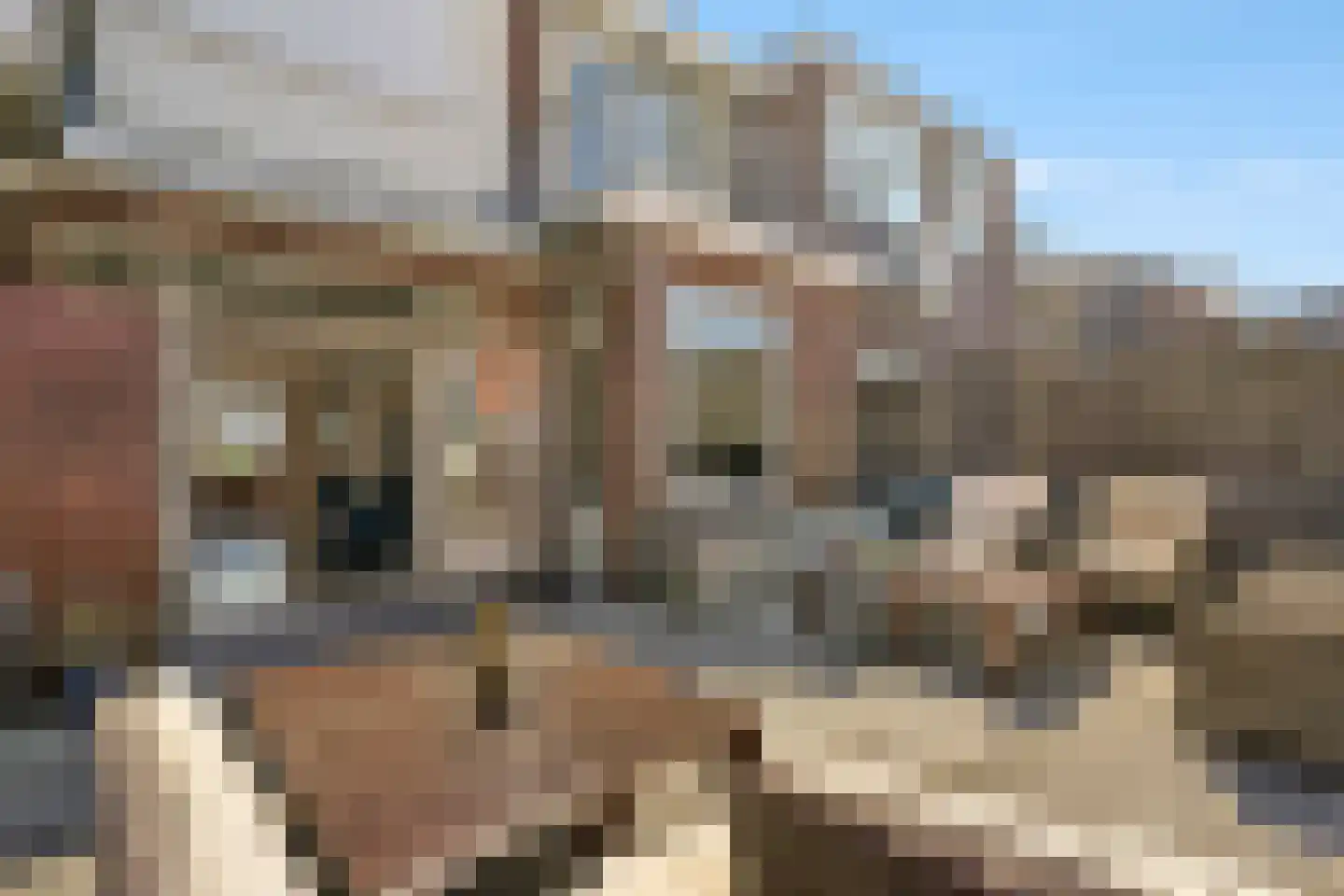 Stevinstraat 180 Den Haag thumbnail 32