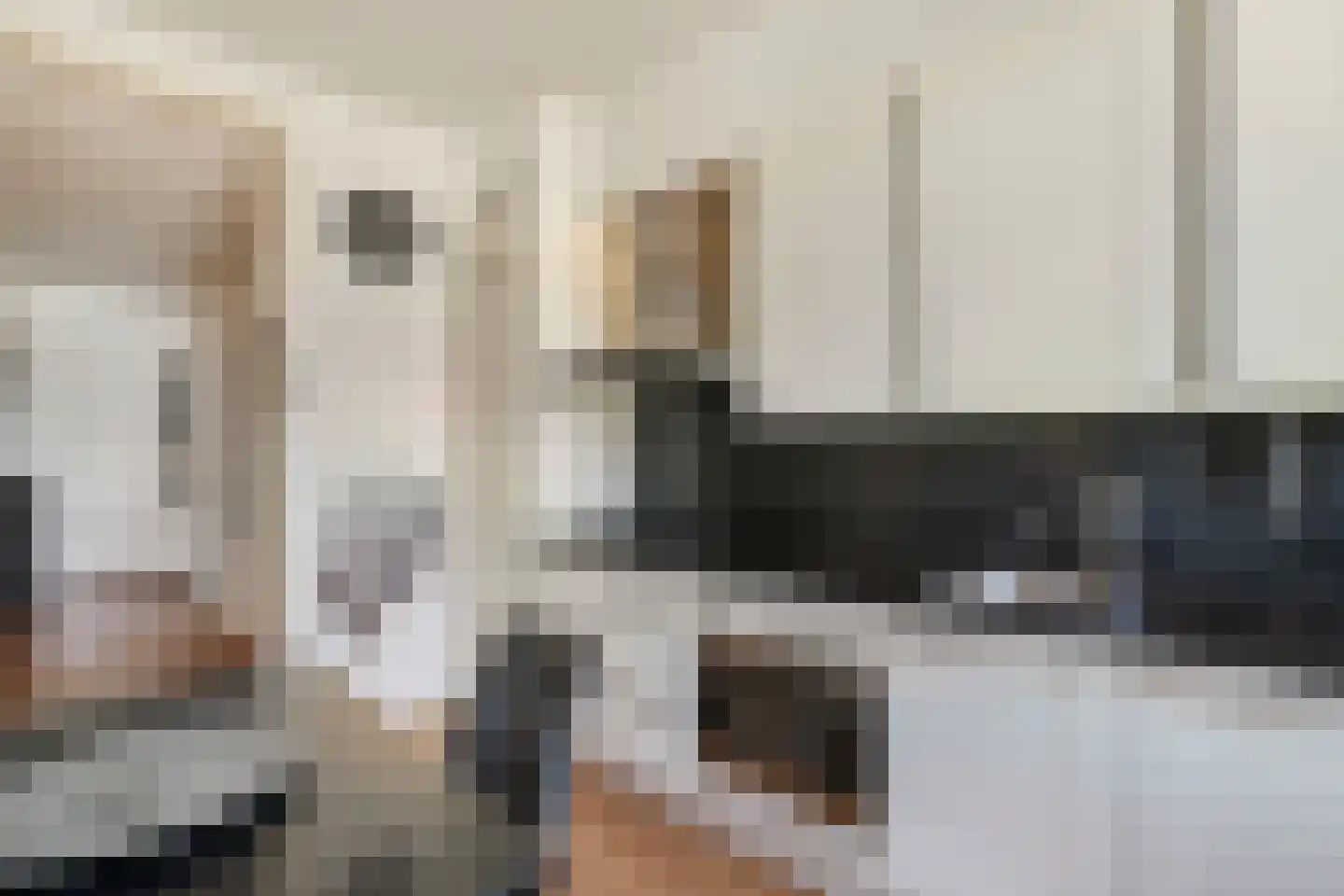 Stevinstraat 180 Den Haag thumbnail 36