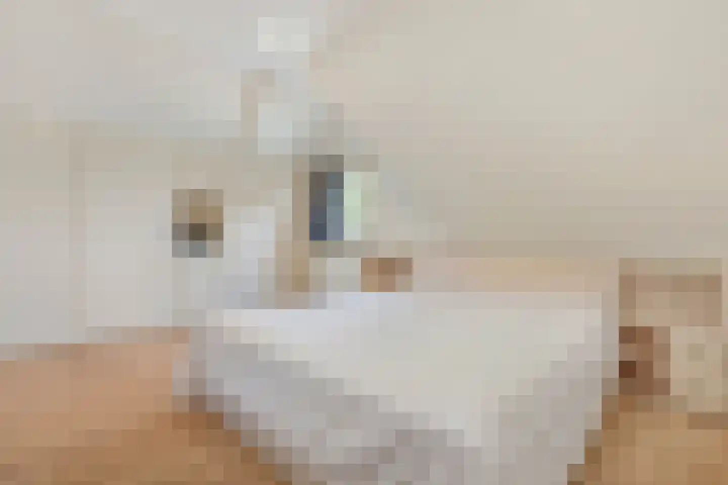 Stevinstraat 180 Den Haag thumbnail 40