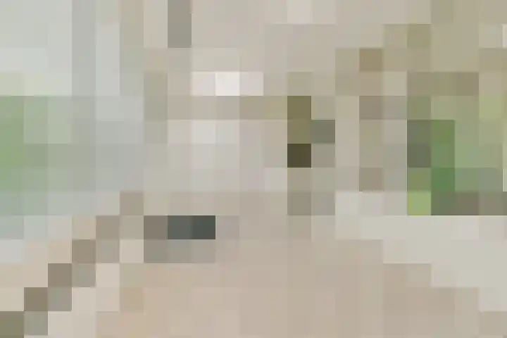 Stevinstraat 21 Badhoevedorp thumbnail 10